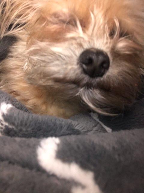 <3 profile photo