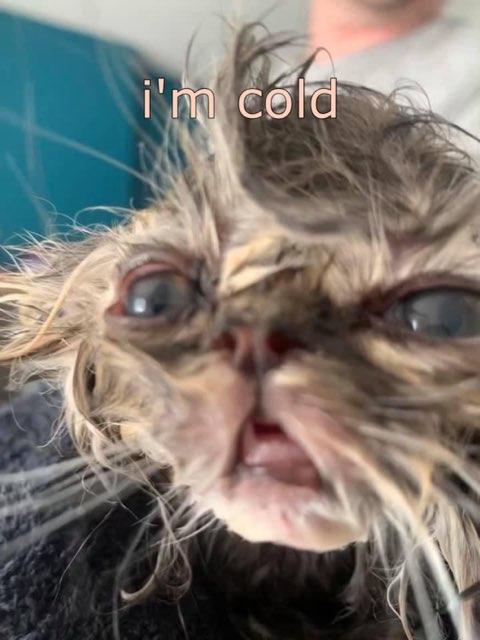 rawr profile photo
