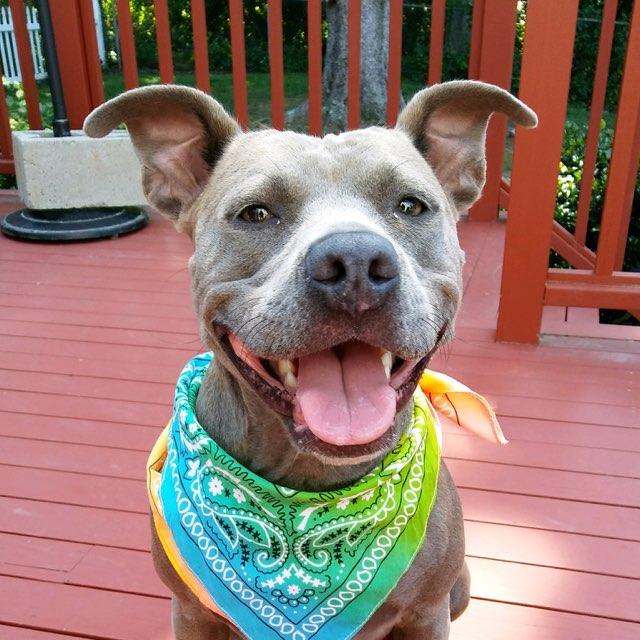 Axtin profile photo