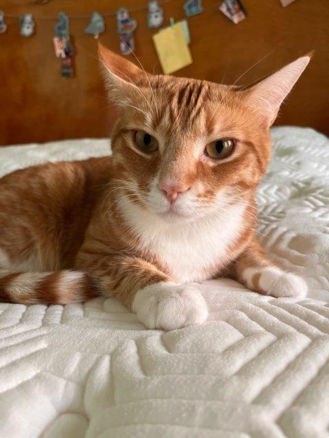 A profile photo