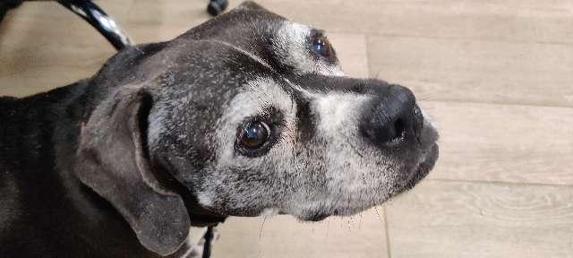 Cherie profile photo
