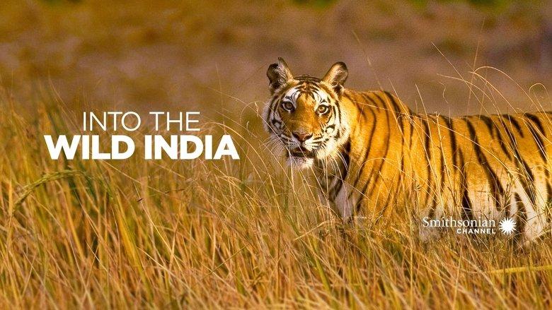 Into the Wild: India image