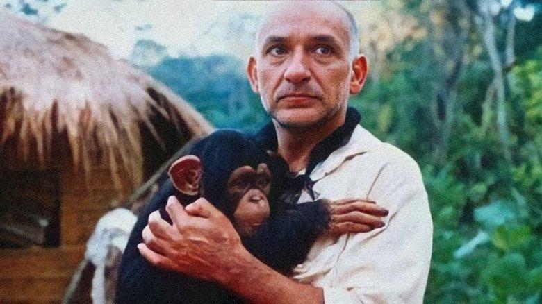 The Fifth Monkey image