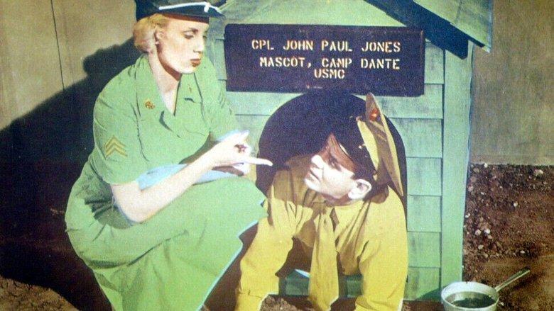 Leave It to the Marines image