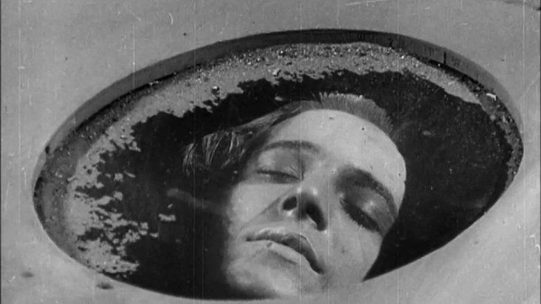 The Man Without Desire image