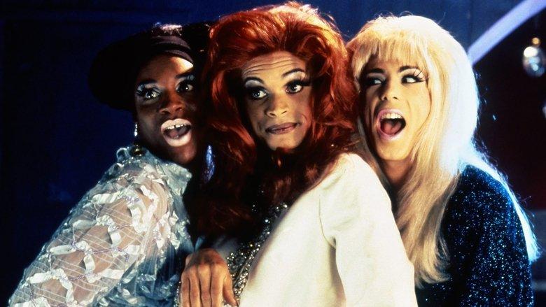 Stonewall image