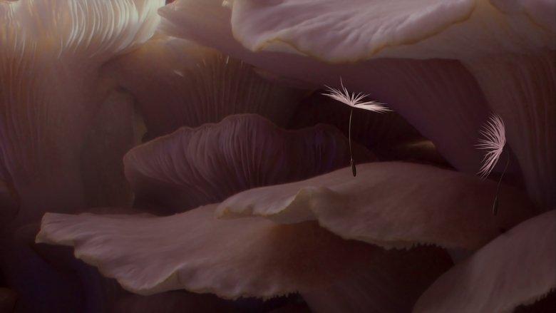 Dandelion's Odyssey image