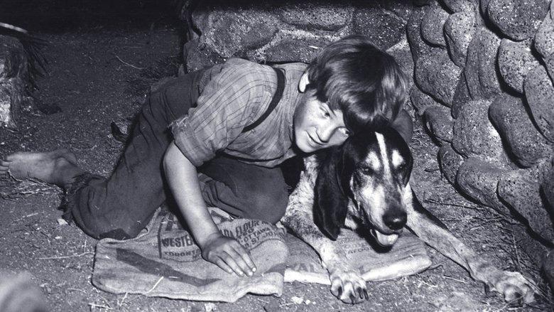 A Boy and His Dog image