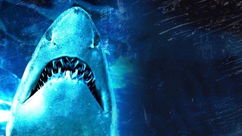 Dam Sharks! image