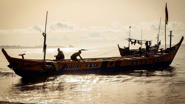 The Fisherman image