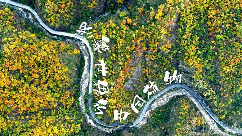 The Journey of Chinese Plants image