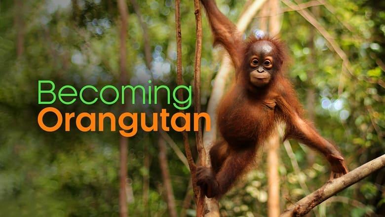 Becoming Orangutan image