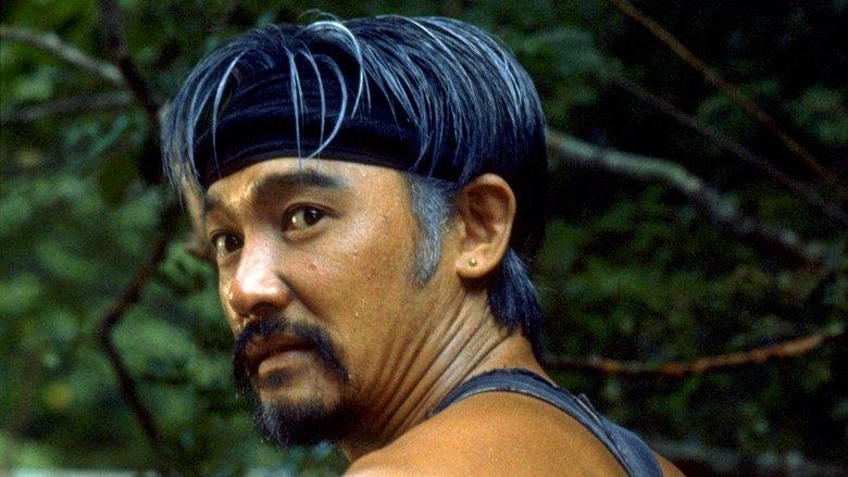 The Seburi Story image