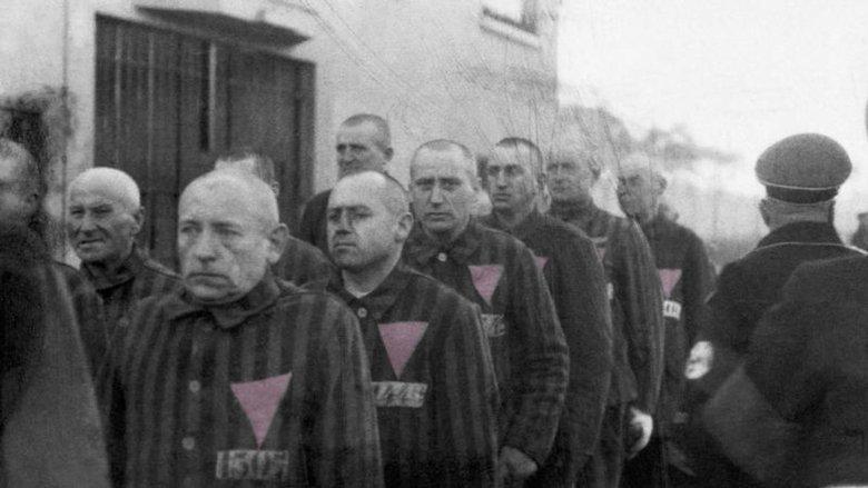 The Pink Triangle and the Nazi Cure for Homosexuality image