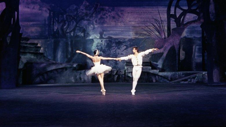 Swan Lake image