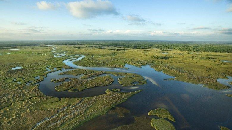 National Parks Exploration Series: The Everglades image