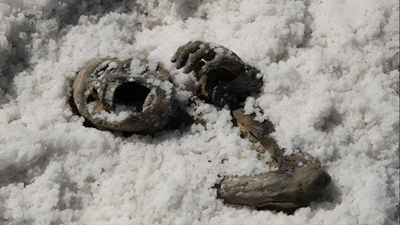 Under the Salt image