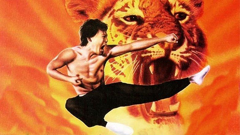 Duel of the 7 Tigers image