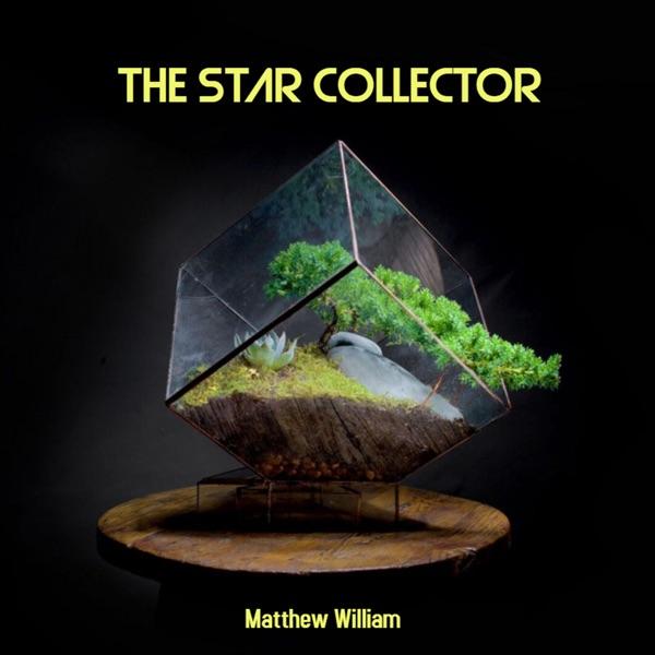 The Star Collector image