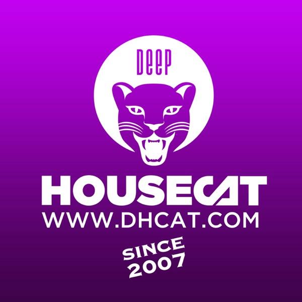 Deep House Cat image