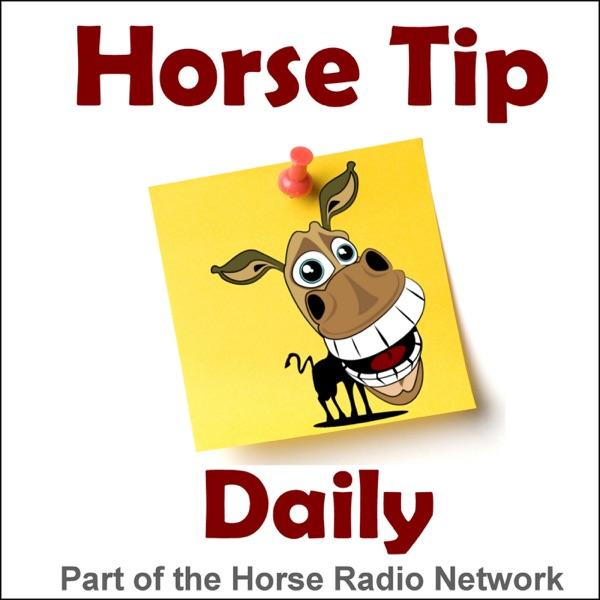 Horse Tip Daily image