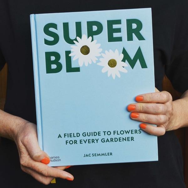 Super Bloom: A field guide to flowers for every gardener image