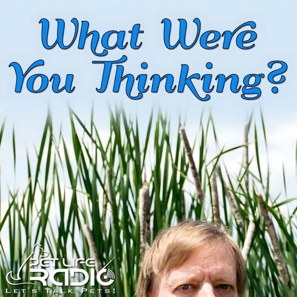 What Were You Thinking - Pet Life Radio Original image