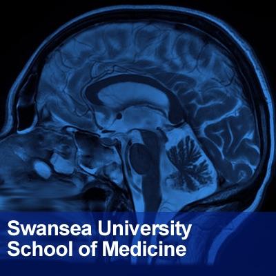 Swansea University Medical School: Neuroscience image